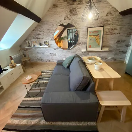 Mini Loft De Charme Au Coeur De La アパート