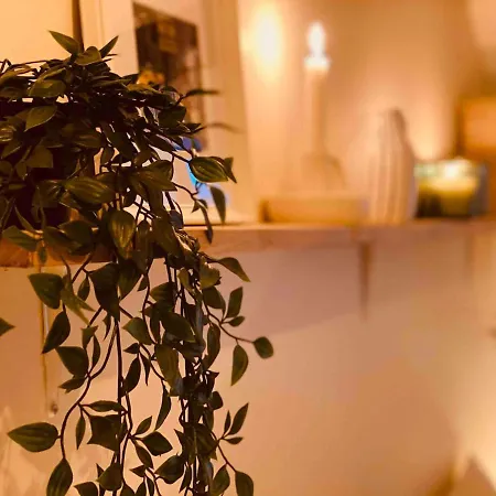 شقة Mini Loft De Charme Au Coeur De La ديجون