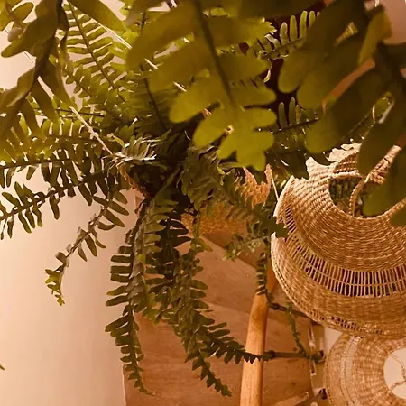 Mini Loft De Charme Au Coeur De La Ντιζόν