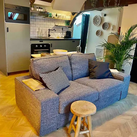 شقة Mini Loft De Charme Au Coeur De La ديجون