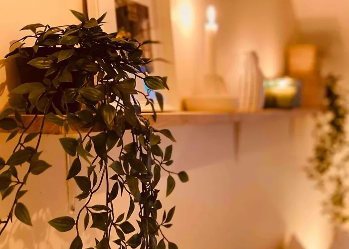 アパート Mini Loft De Charme Au Coeur De La ディジョン