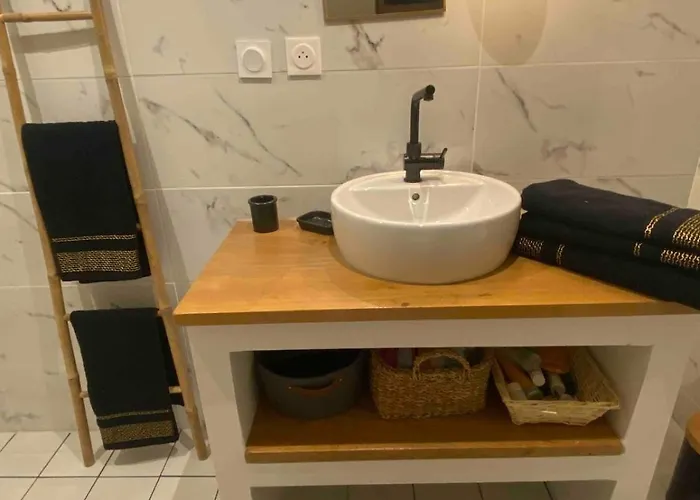 Mini Loft De Charme Au Coeur De La * ディジョン