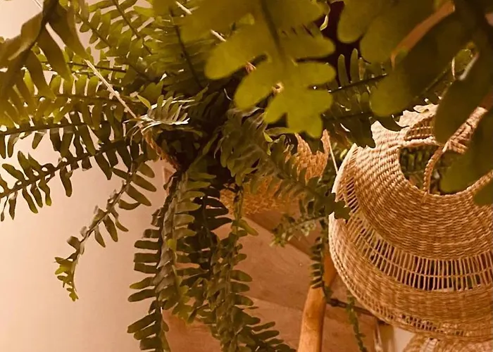 Mini Loft De Charme Au Coeur De La Ντιζόν