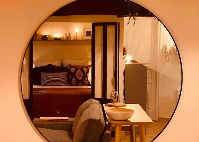 Mini Loft De Charme Au Coeur De La * ディジョン